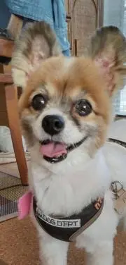 エレノア