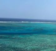 アキ