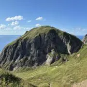 クローバーの画像