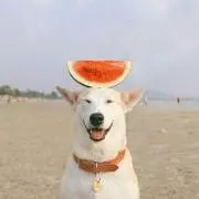FFCの画像