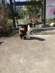 ぴーさん★プロフ参照 まとめ買値引OKの画像