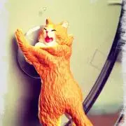 Yukkaの画像