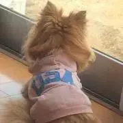 HI-の画像
