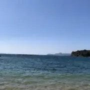 りーこの画像