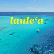 フォロー割あり★古着SHOPラウレア★