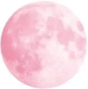 たらこの画像
