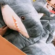 ぽぽの画像