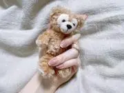 moco*の画像