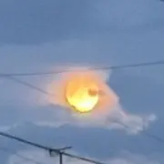 くっぴJrの画像