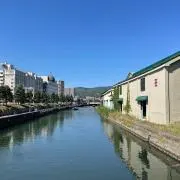 たくの画像