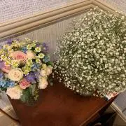 れっちの画像