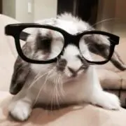 リナの画像
