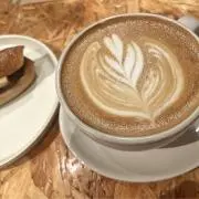 ミケの画像