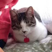 ちえママ