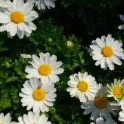 hrka0127の画像