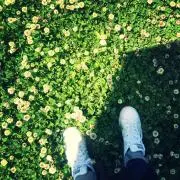 siestarryの画像