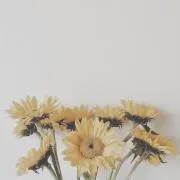 Kの画像