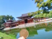 よーの画像