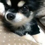 まめめ