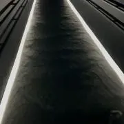 aⓂ︎iraの画像