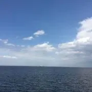 こりちゃん