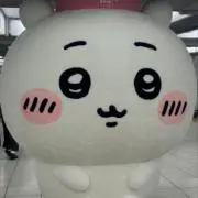 みーこ（発送8/9以降）の画像