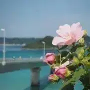 のん