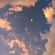 t♡の画像