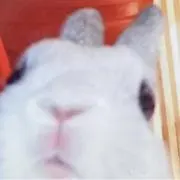 うさお