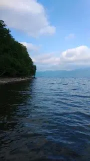 ヒーロの画像