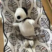 こげの画像