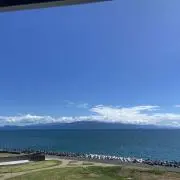まろの画像