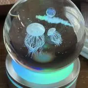 ななの画像