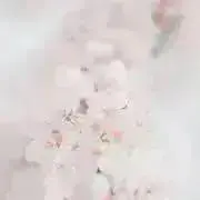 Aの画像