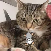 なるの画像