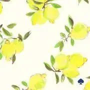 めろんの画像