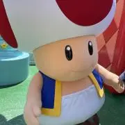 ぽっぴーの画像