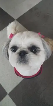 なつき