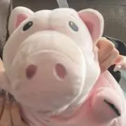 こぶたの画像