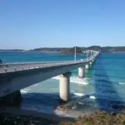 T☆6/5pm〜6/7発送不可の画像