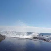 なななの画像