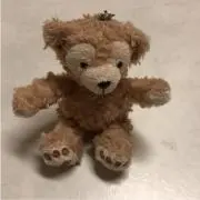 くりちゃんの画像
