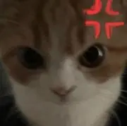 りにの画像