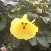 できるだけ早く送りますの画像