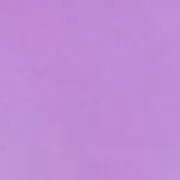 ぽちゃの画像