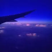 piyiの画像
