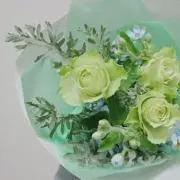 momaの画像
