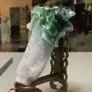 はくさいの画像