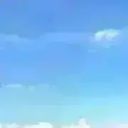 Ricoの画像