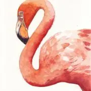 ヒロの画像